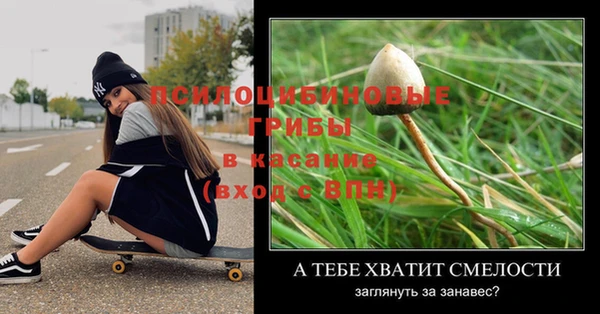 Альфа ПВП Аркадак